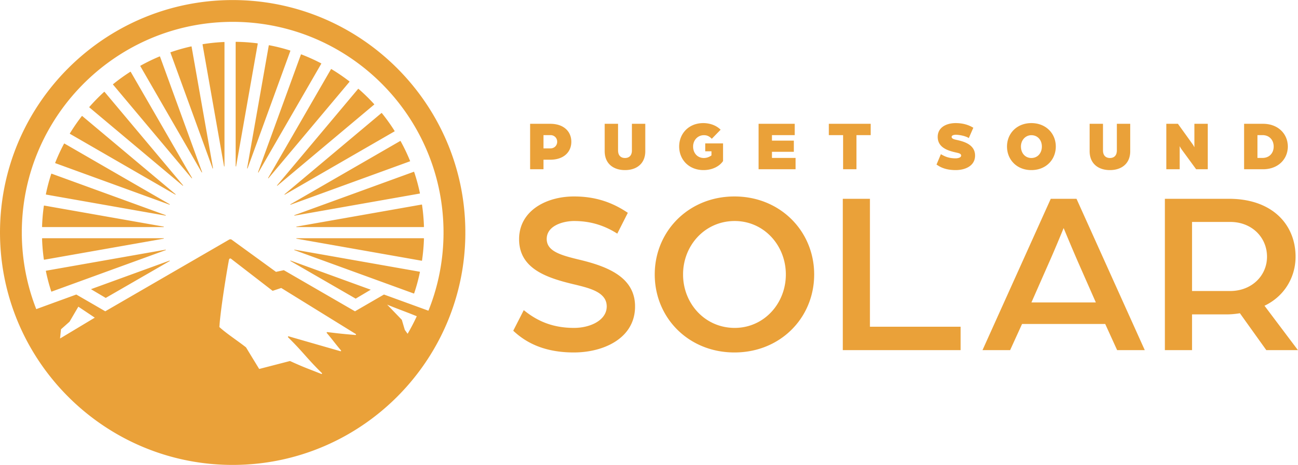 Puget Sound Solar